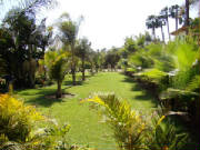 Scenery/Grounds2.JPG