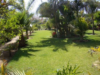 Scenery/Garden5.JPG